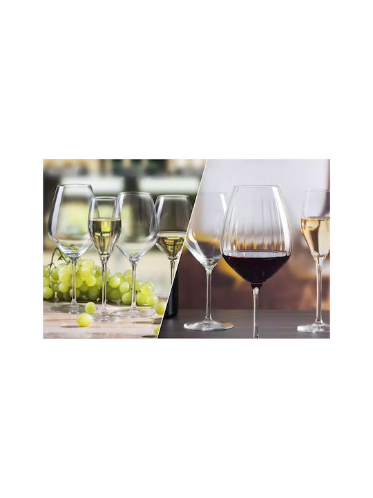 Rona Favourite Set of Glasses Champagne / Whiskey / White Wine / Water made of Crystal Stemmed 48pcs