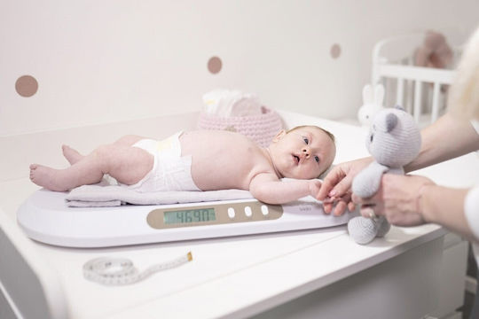 Concept Digital Baby Scale