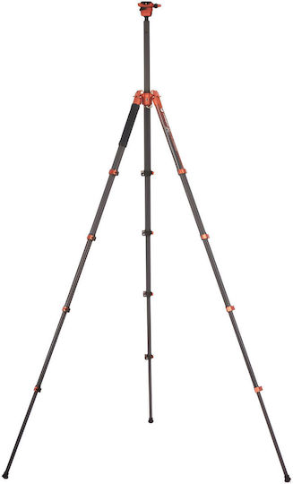 Fotopro Fotografie-Stativ 6944326366232
