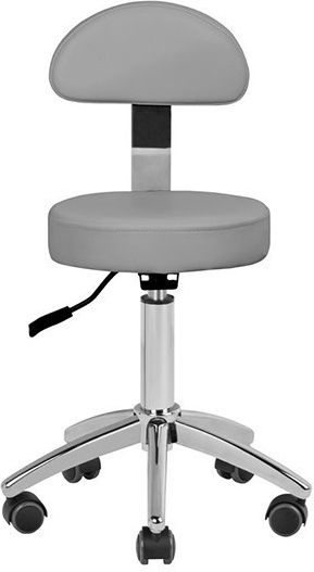 Salon Stools Wheeled Stool with Backrest Gray