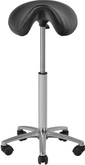 Salon Stools Scaun