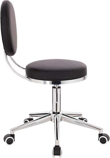 Salon Stools Scaun