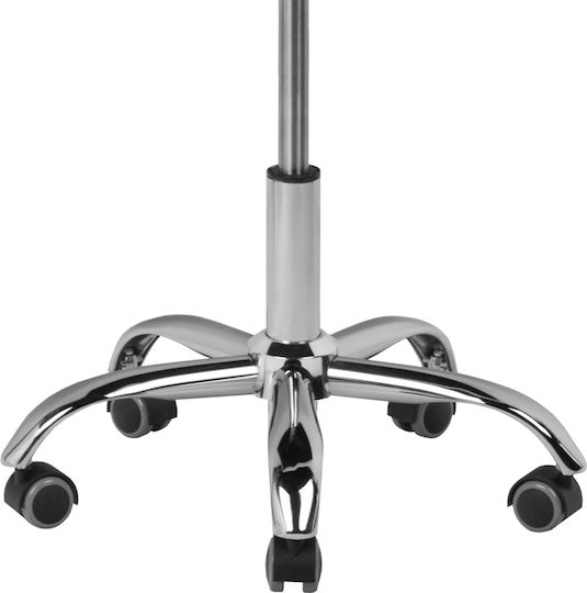 Salon Stools Scaun