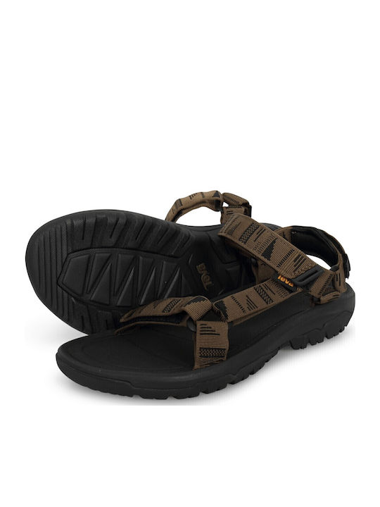 Teva