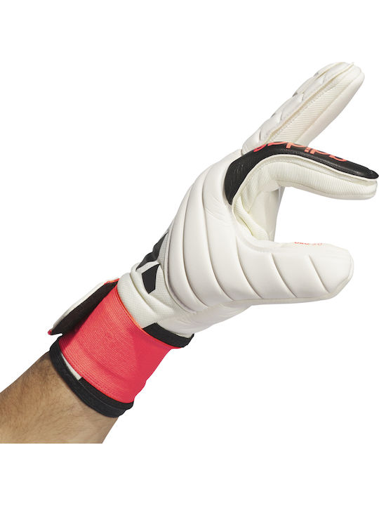 adidas Copa Gl Lge Adults Goalkeeper Gloves White
