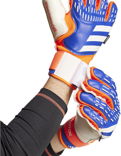 adidas Predator Gl Mtc Fs Adults Goalkeeper Gloves Blue