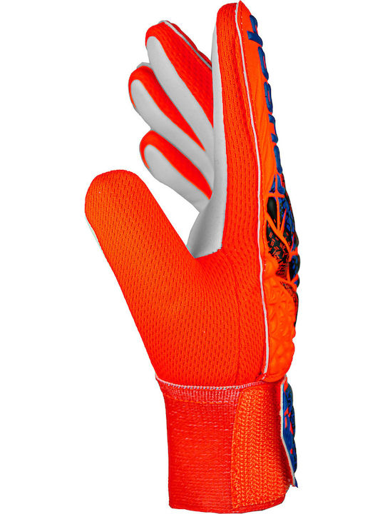 Reusch Reusch Attrakt Starter Grip Adults Goalkeeper Gloves Orange