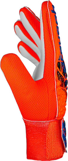 Reusch Reusch Attrakt Starter Grip Adults Goalkeeper Gloves Orange