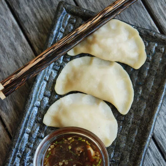 Dumpling Pelmeni Gyoza Mold Form Ec-4493l