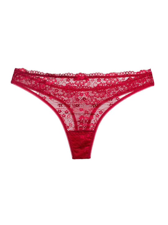 String with lace | 365 BORDO
