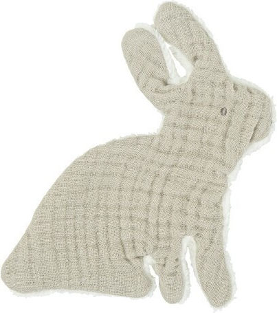 Bimbidreams 56652