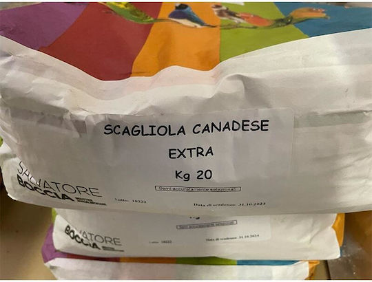 Pico Pico Scagliola Candeze Extra Millet Canary Seed Birds Food for Birds 5kg