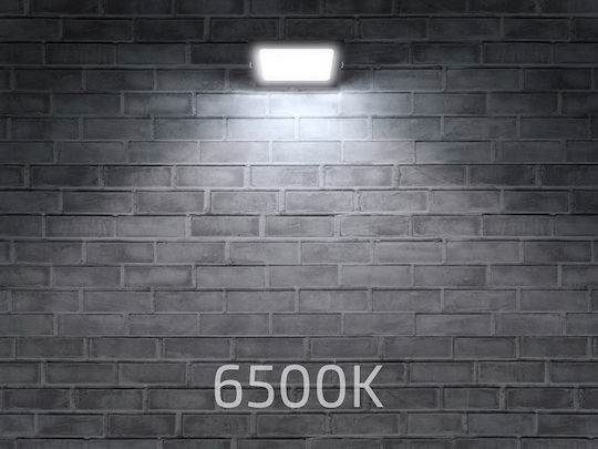 Eco Light Στεγανός Προβολέας LED 20W Ψυχρό Λευκό 6500K με Αισθητήρα Κίνησης IP65