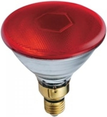 Glühlampe 175W für Fassung E27