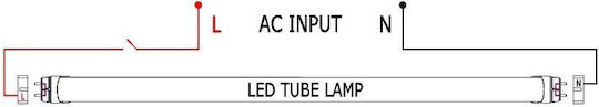 Leuchtstofflampe Für G13 Fassung Mit T8 Form 18W