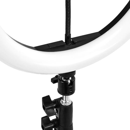 Activeshop Lamp Light Ring Light 25.4cm