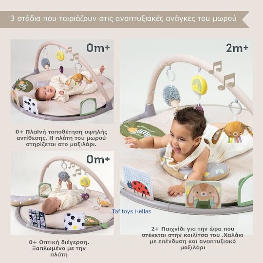 Taf Toys Activity Gym with Music for Newborns