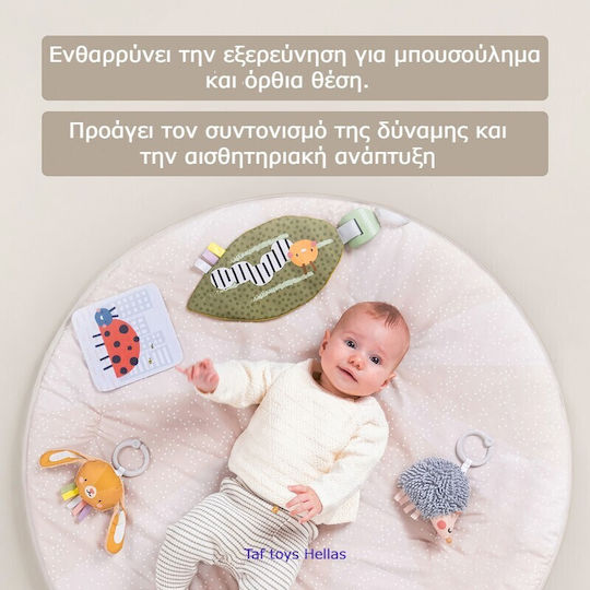 Taf Toys Activity Gym with Music for Newborns