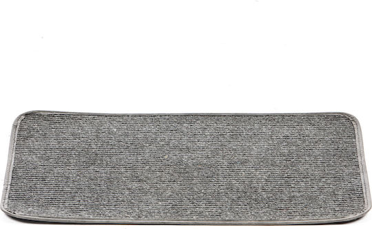 Gray Entrance Mat 50x33cm Gray