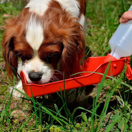 Tragbarer Hundetrinker Grün