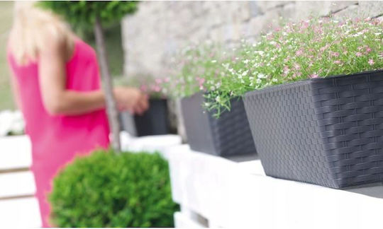 Prosperplast Pot Plastic Antracit