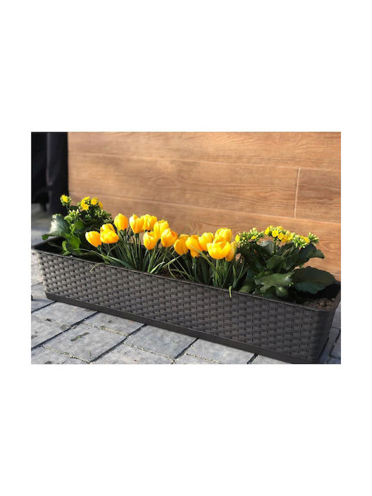 Prosperplast Topf Kunststoff Anthracite 68.5x17.3x15cm.