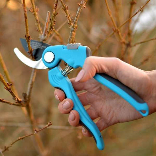 Pruning Shears Length 18cm