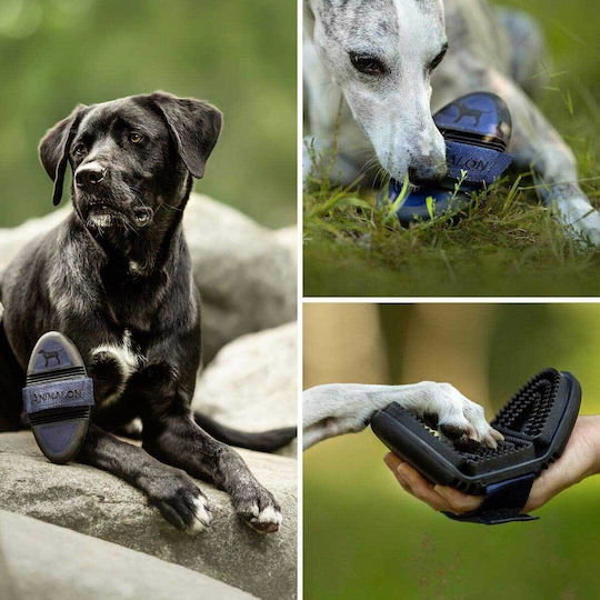 Animalon Bούρτσα Περιποίησης Dog Brush for Short-Haired Dogs for Hair Care