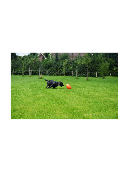 Holland Animal Care Comets Μπάλα Παιχνίδι Σκύλου με Ήχο Medium Πορτοκαλί 1τμχ