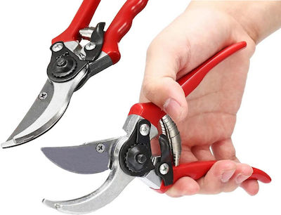 Soul Pruning Shears