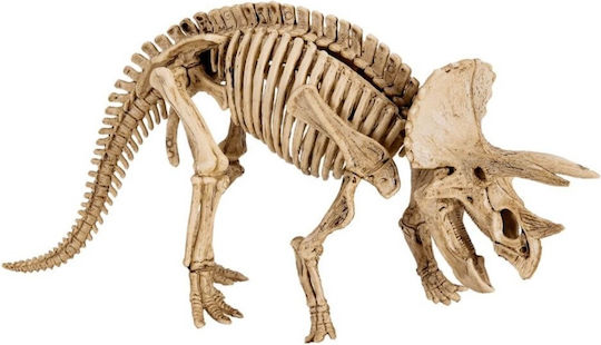 Die Spiegelburg Ανασκαφή Educational Game Dinosaur Excavation