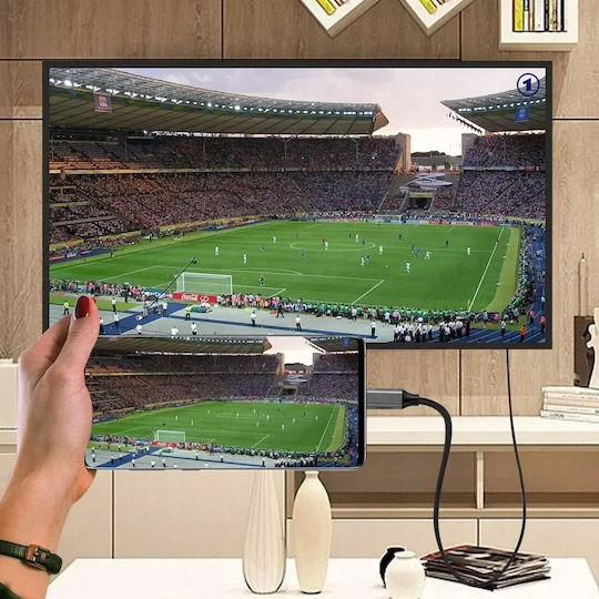 Cable HDMI male - USB-C male 2m Μαύρο
