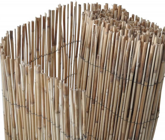 vidaXL Bamboo Fencing with Whole Bamboo Reed 1x4m 365748 vidaXL Bamboo Fencing with Whole Bamboo Reed 1x4m 365748