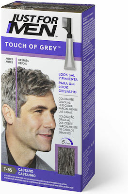 Just For Men Touch Βαφή Μαλλιών για Άνδρες Χωρίς Αμμωνία Touch Of Grey Καφέ 40gr