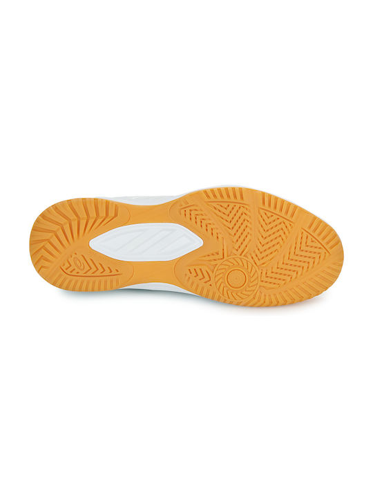 Upcourt 6 Sport Shoes Volleyball White