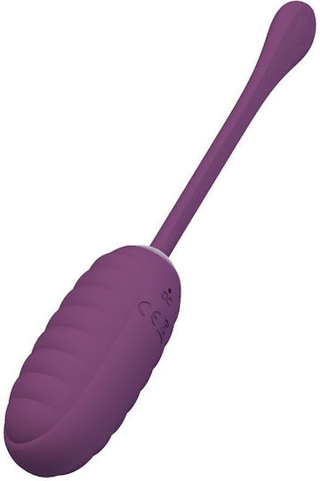 Pretty Love Vibrator Ei mit Fernbedienung Lila