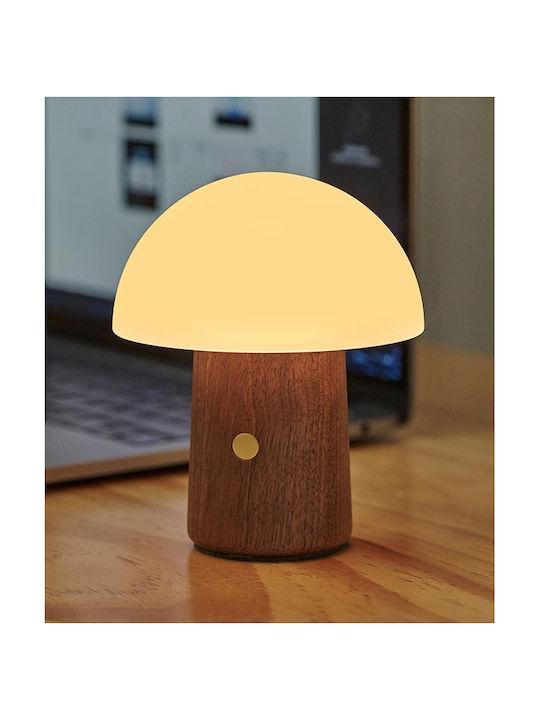 Gingko Decorative Lamp Mushroom