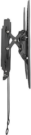 Stell Accessories SHO 3630 Βάση Τηλεόρασης Τοίχου έως 70kg