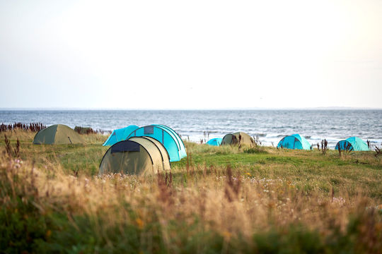 Grand Canyon Camping Tent Igloo Green 4 Seasons for 4 People 310x285x135cm