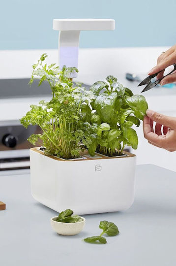 Veritable Autonomous Home Garden Botaneo Eylo Jar Plastic 17.5x18.5x46cm.