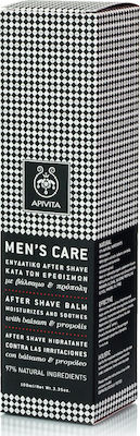 Apivita After Shave Balm Men's Care χωρίς Οινόπνευμα με Αλόη 100ml