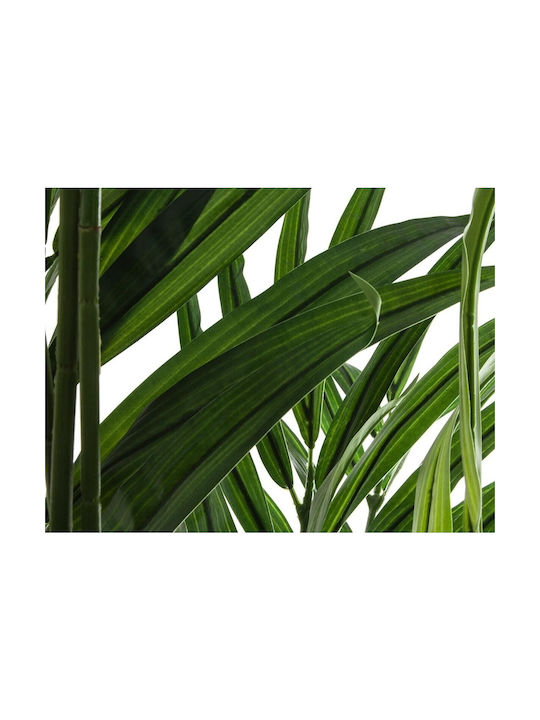 Areca-Palme in Topfpflanze 235cm Atmosphera