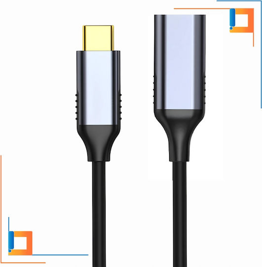 Convertor USB-C Masculin În DisplayPort Feminin Gri 1 Bucată CO2-0048