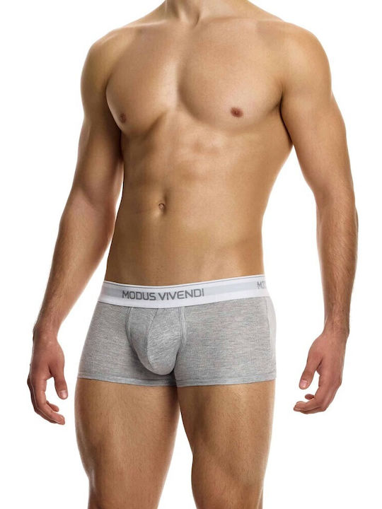 Modus Vivendi Modus Vivendi