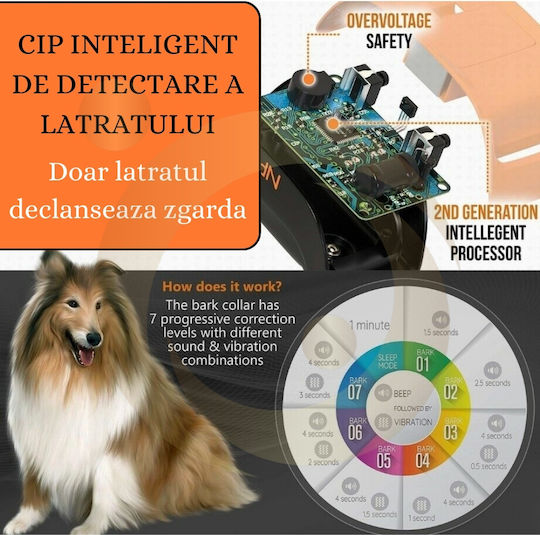 Dog Training Shock Collar Anti Barking Orange