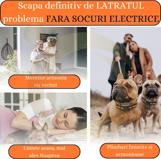 Dog Training Shock Collar Anti Barking Orange