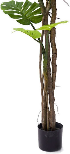 Künstliche Pflanze im Topf Monstera Grün 180cm Inart