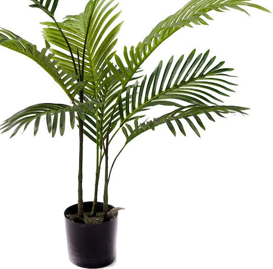 Areca Αρέκα σε Γλάστρα 80cm Inart