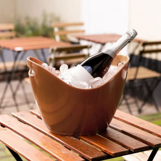 Soler Hispania Champagners simple Acrilic 8lt cu dimensiunile 35x27x27cm