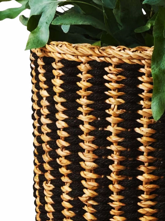 Dekoratives Korbweide Korb Schwarz 25x25x25cm Baskets7